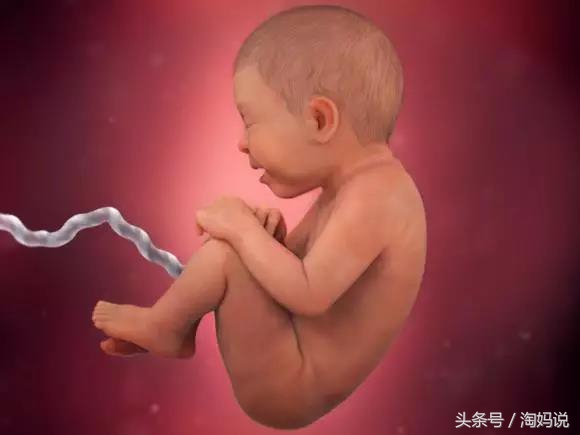 胎儿发育40周全过程注意事项,赞宝宝训练抬头的句子