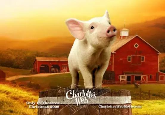 暑假必和孩子看的十部电影,暑假大人和小孩都能看的电影推荐