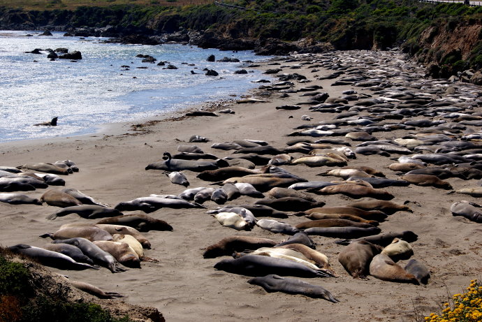 大色尔，加州绝美一号公路最精华