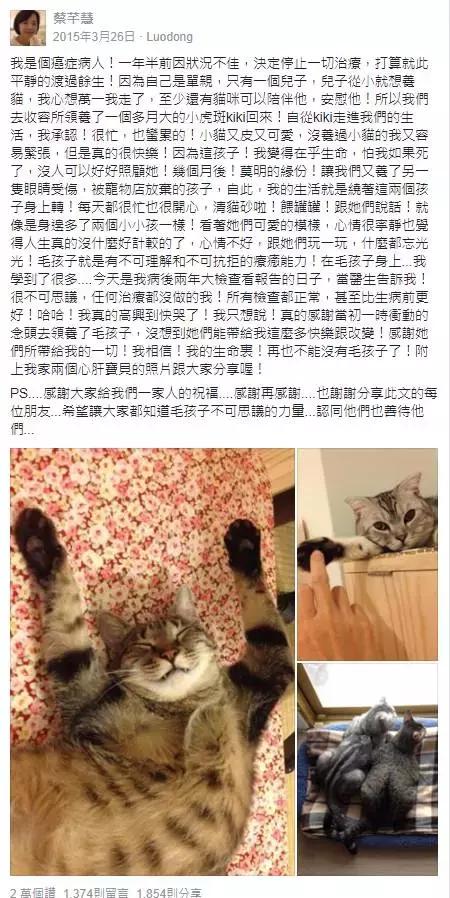养猫后晚期癌症居然不治而愈!养宠物有这么神奇吗?