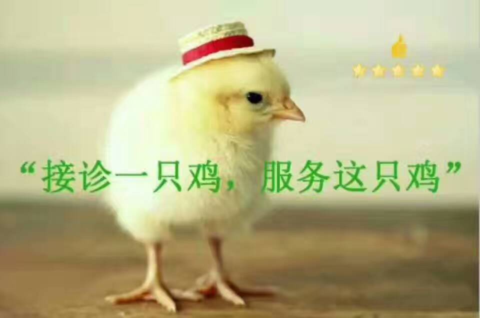 鸡念珠菌的症状及表现,白色念珠菌是什么原因形成的