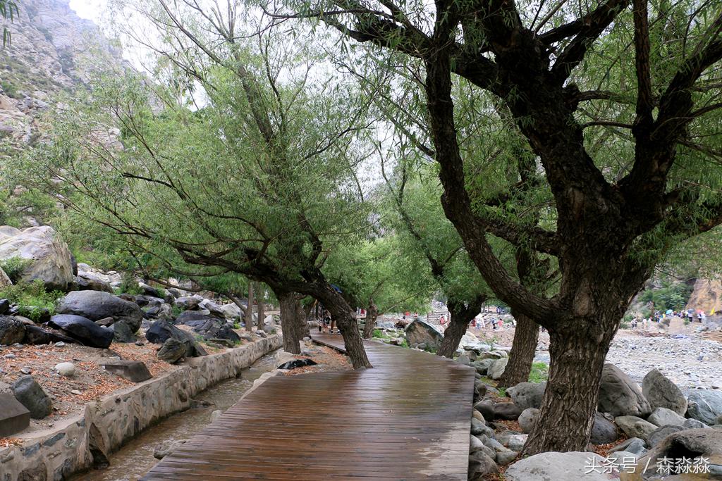 贺兰山太阳神,太阳神的真正实力有多可怕