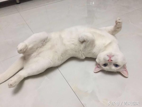 化解尴尬的最好方式,制造点尴尬也能化解尴尬