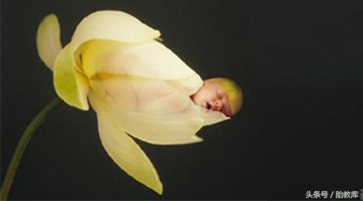 胎梦一般会梦到啥,胎梦准到什么程度才能看到