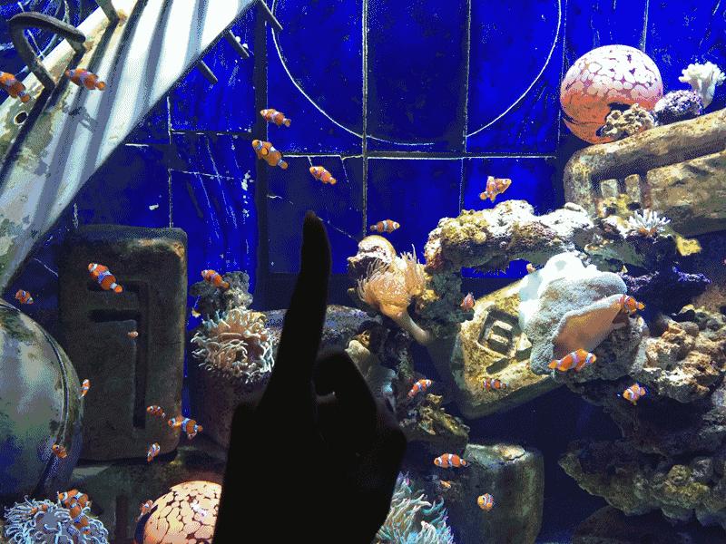 为什么欧洲人喜欢去地中海旅游,为什么欧洲人喜欢去希腊度假