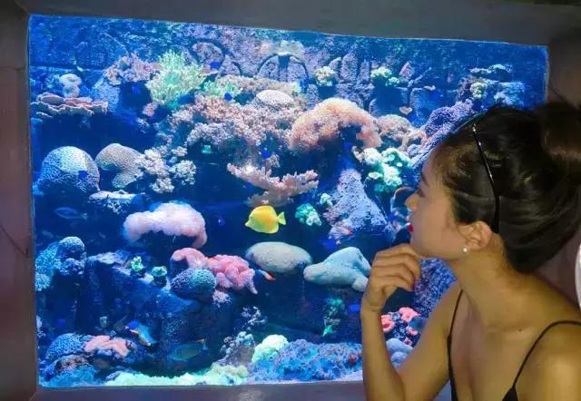 为什么欧洲人喜欢去地中海旅游,为什么欧洲人喜欢去希腊度假