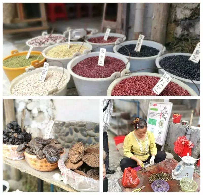 怡情于山水，相伴于旅途——天助网总部广州两日旅行漫记