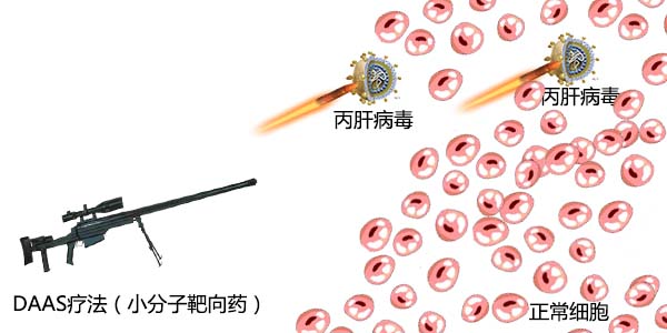 丙肝看哪几个指标,丙肝看抗体还是抗原