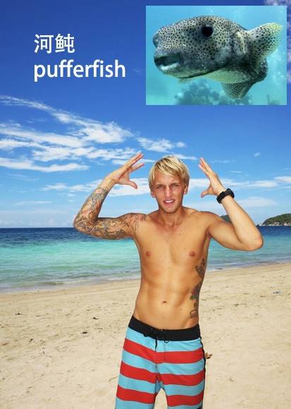 各种鱼的手势,海鱼表示动作词语