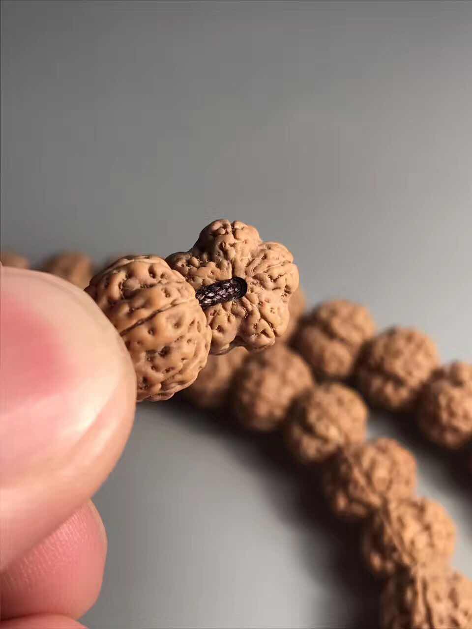 史上最全的小金刚菩提子介绍，再也不用担心被忽悠了！