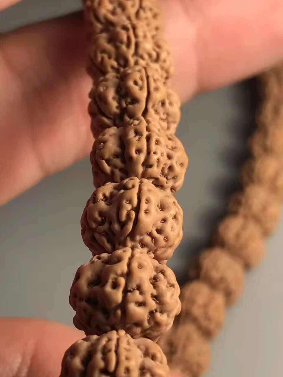 史上最全的小金刚菩提子介绍，再也不用担心被忽悠了！