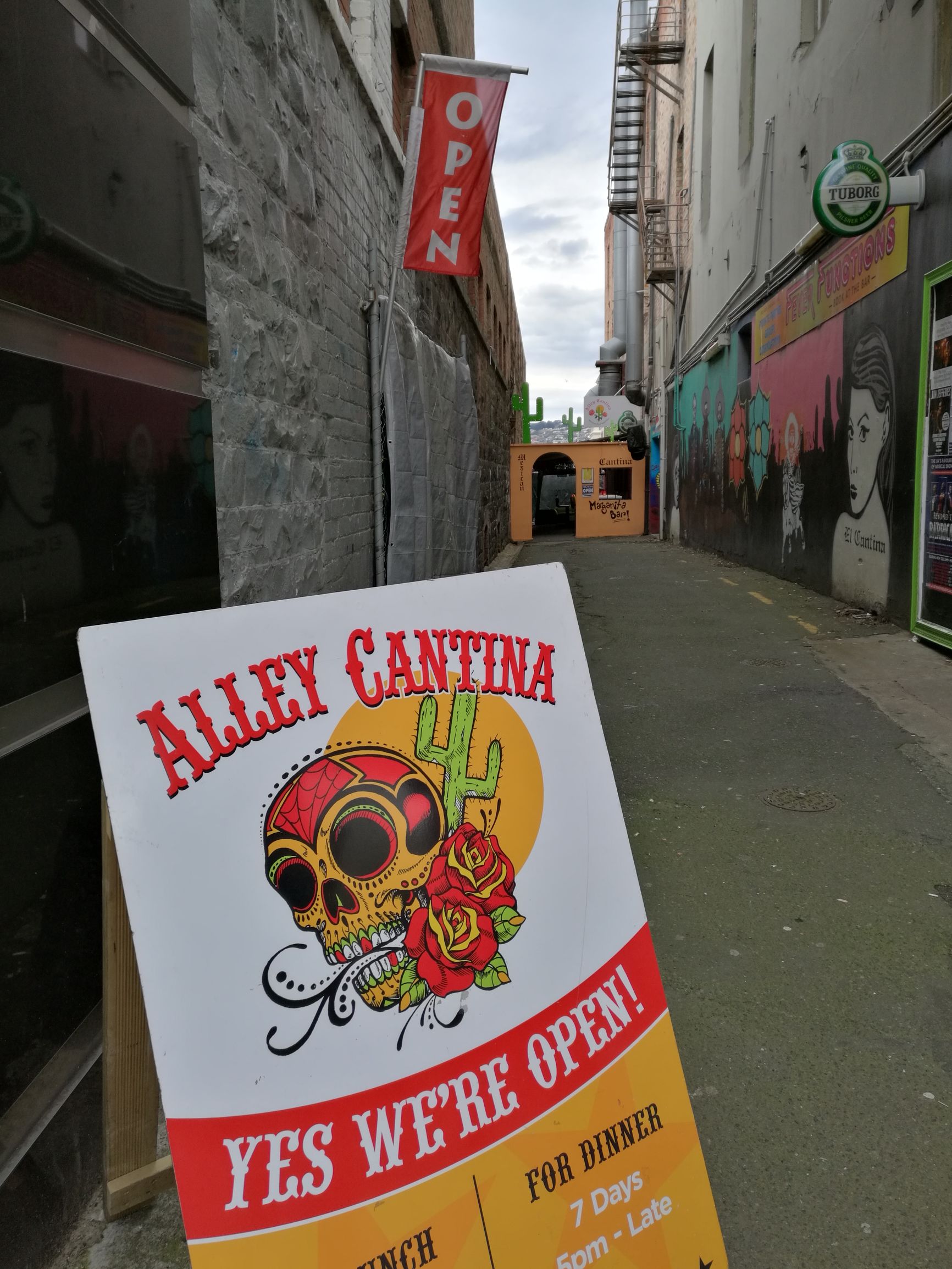 新西兰但尼丁城市介绍,新西兰哪个城市比较宜居