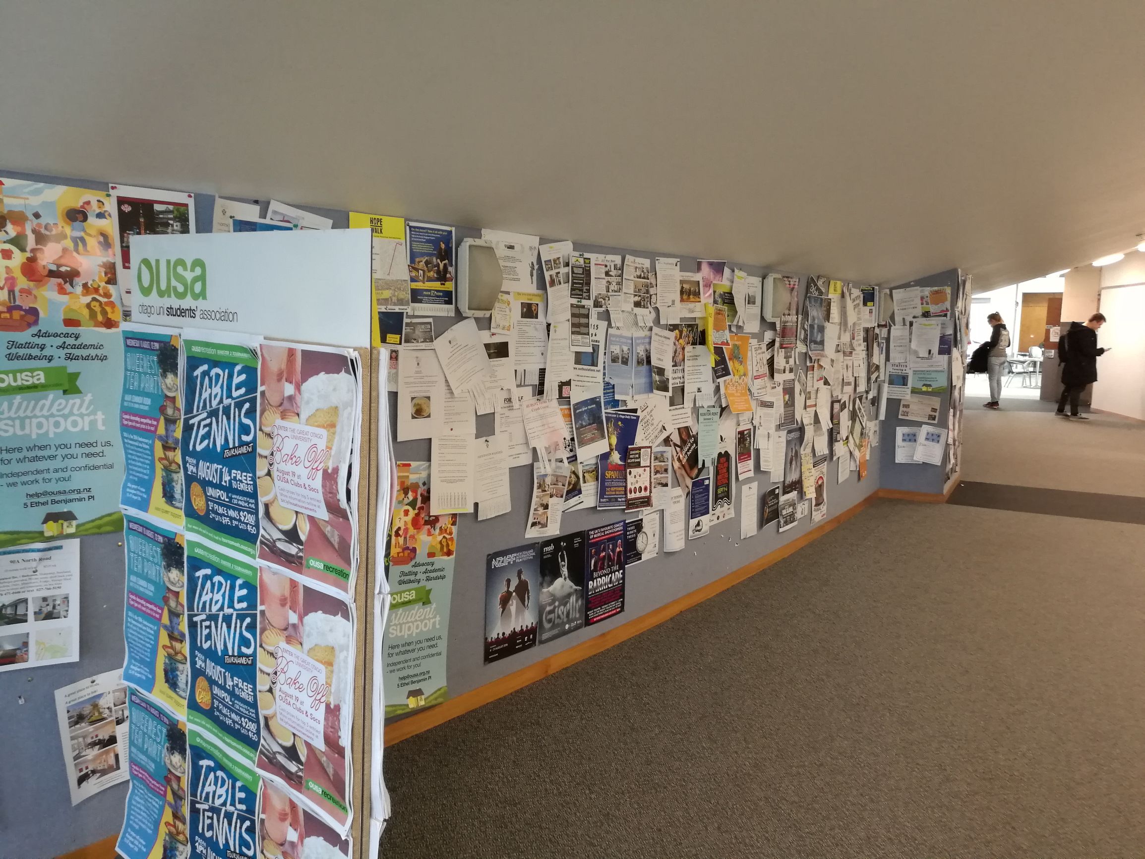 新西兰但尼丁城市介绍,新西兰哪个城市比较宜居