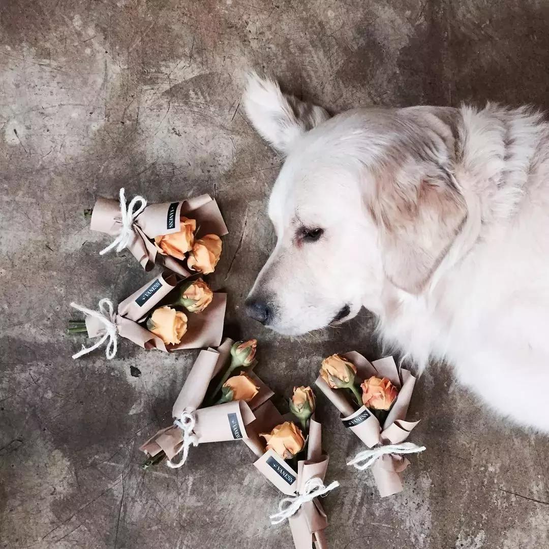 韩国攻略必备,想去韩国玩要准备什么