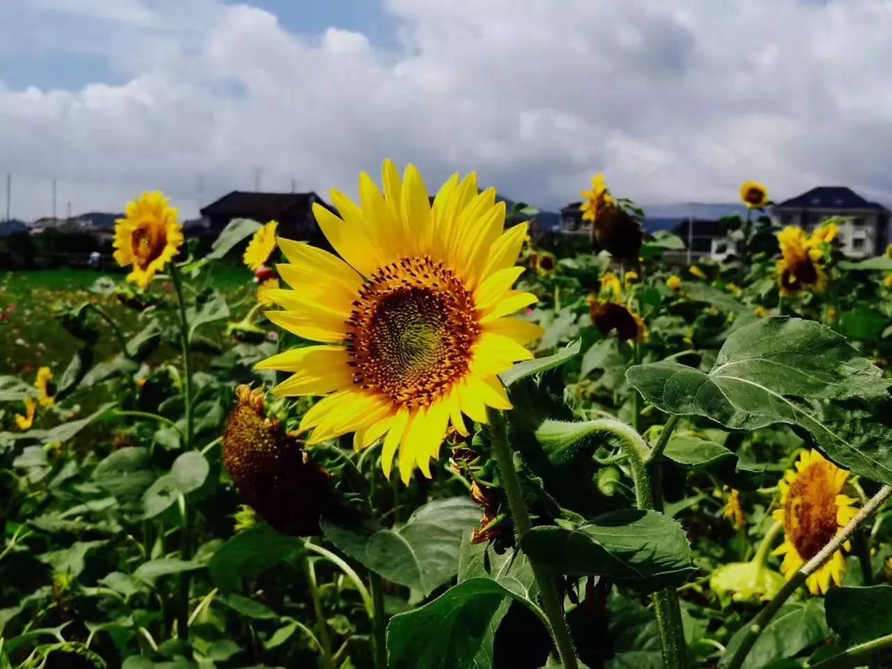 行走山水之间远离城市喧嚣,行走在浙江温州风景