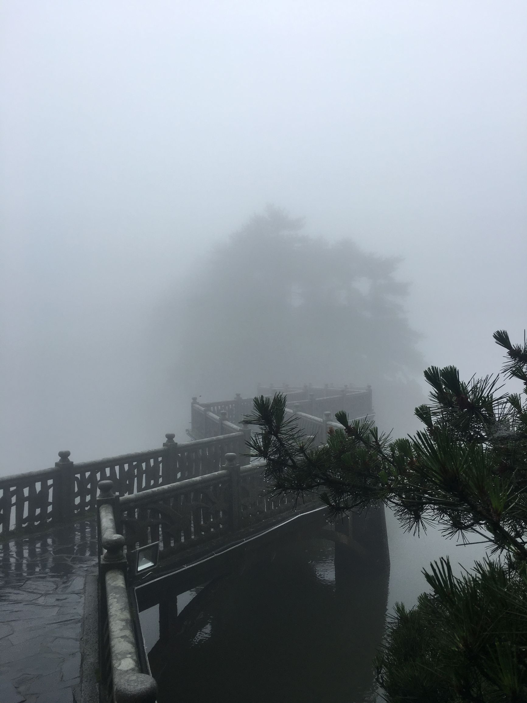 庐山云雾旅游攻略 (庐山云雾讲解)