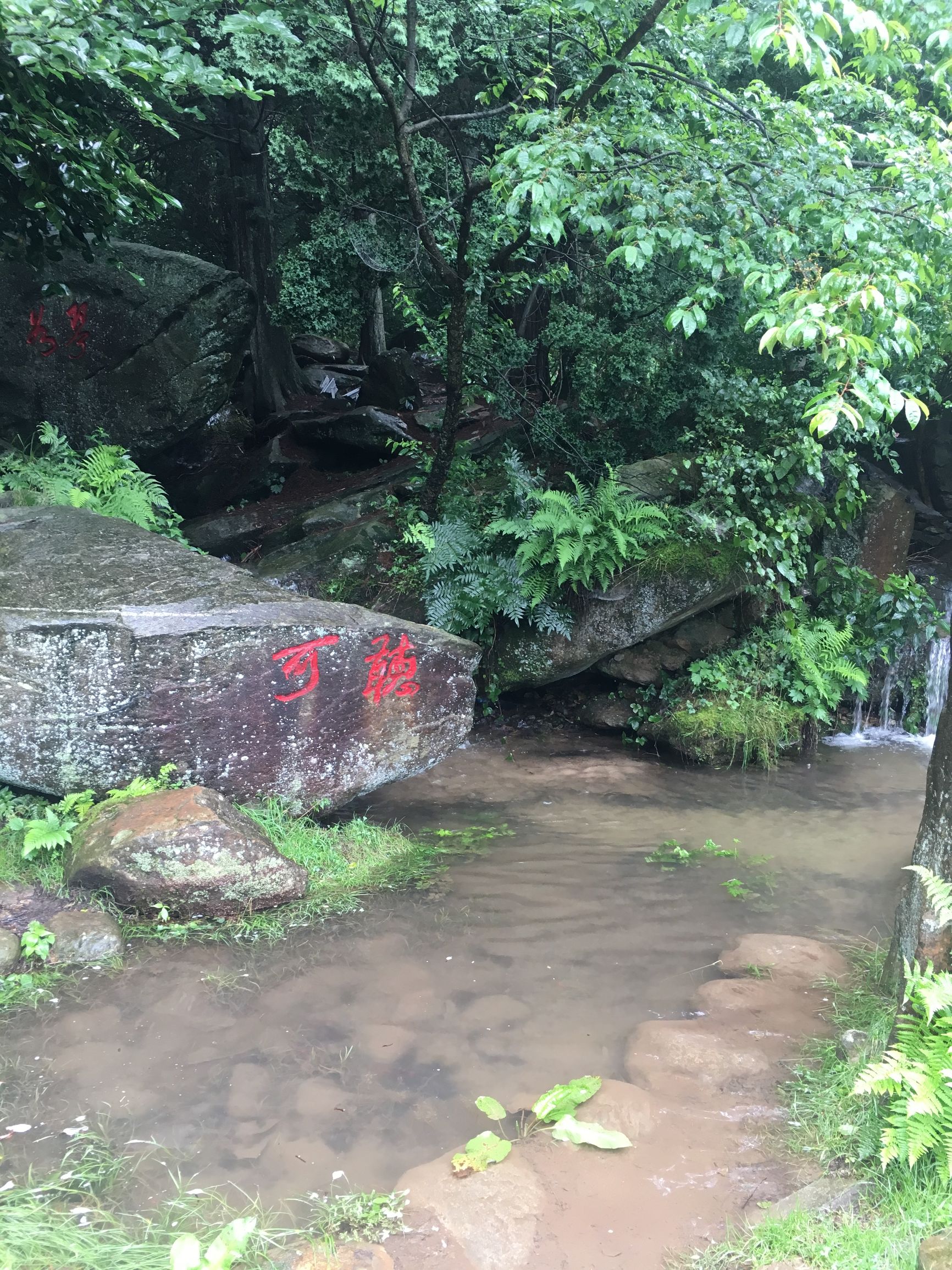 庐山云雾旅游攻略 (庐山云雾讲解)