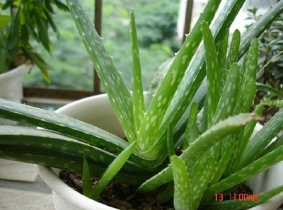 肌肤美白的方法医学,肌肤美白淡斑小妙招