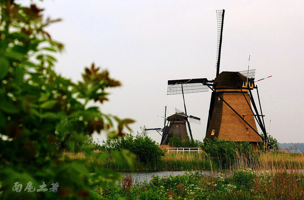 荷兰现在能不能去,什么时候不能去荷兰