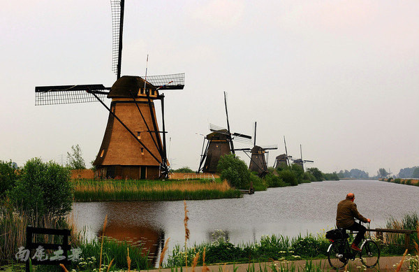 荷兰现在能不能去,什么时候不能去荷兰