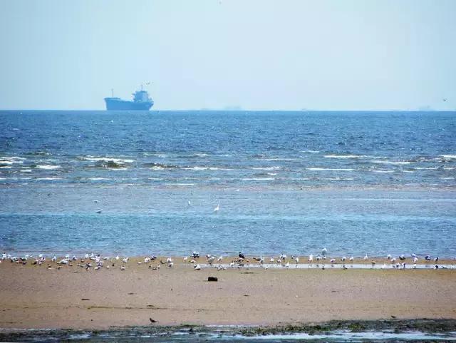 秦皇岛三天两晚自由行旅游攻略,秦皇岛自由行注意事项