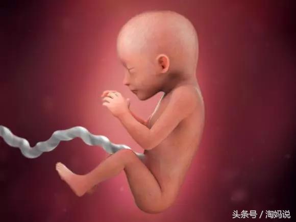 胎儿发育40周全过程注意事项,赞宝宝训练抬头的句子