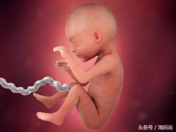 胎儿发育40周全过程注意事项,赞宝宝训练抬头的句子