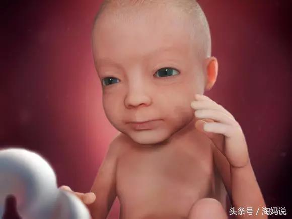 胎儿发育40周全过程注意事项,赞宝宝训练抬头的句子