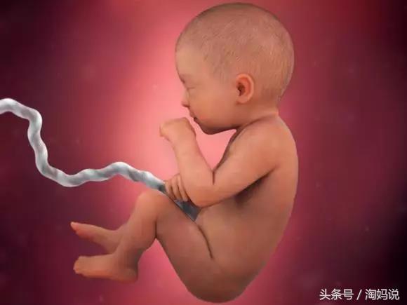 胎儿发育40周全过程注意事项,赞宝宝训练抬头的句子