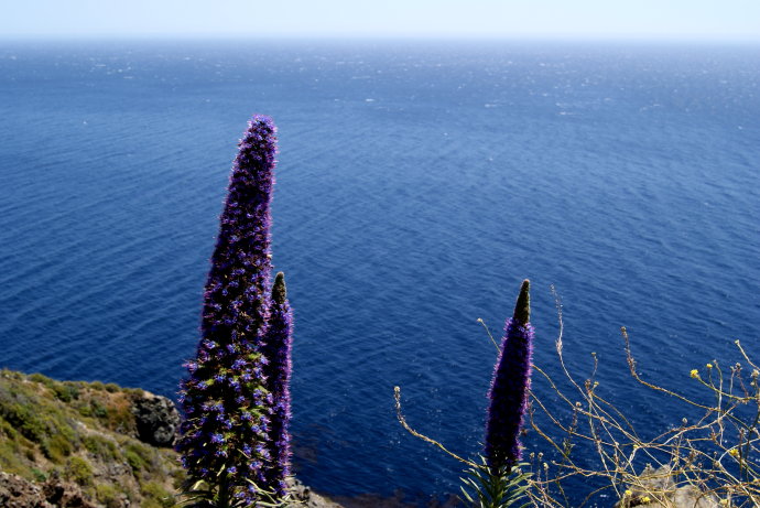 大色尔，加州绝美一号公路最精华