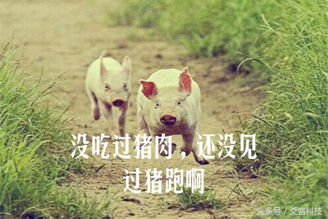 雅马哈为啥又有机车又有乐器,雅马哈是卖钢琴的还是摩托