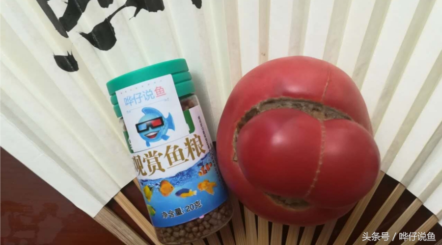 观赏鱼怎么喂鱼粮最好,观赏鱼最好喂什么饲料