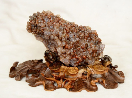 长满小疙瘩的石头,浑身起的密密麻麻的疙瘩不痒