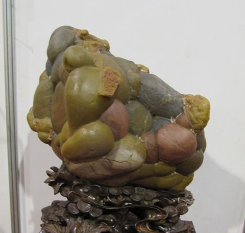 长满小疙瘩的石头,浑身起的密密麻麻的疙瘩不痒