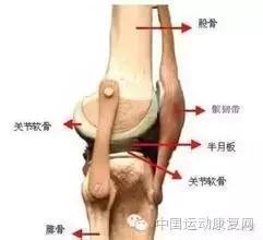 运动之后膝关节痛是怎么回事,运动后导致膝盖疼