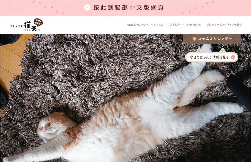 不要说我孤独，我还有猫