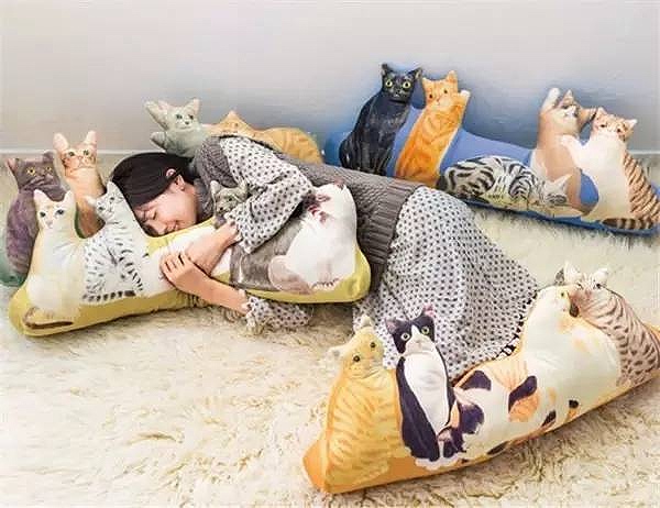 不要说我孤独，我还有猫