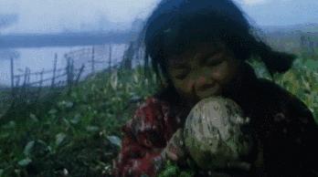 吴天明看了哪两部电影,吴天明和他的中国影片