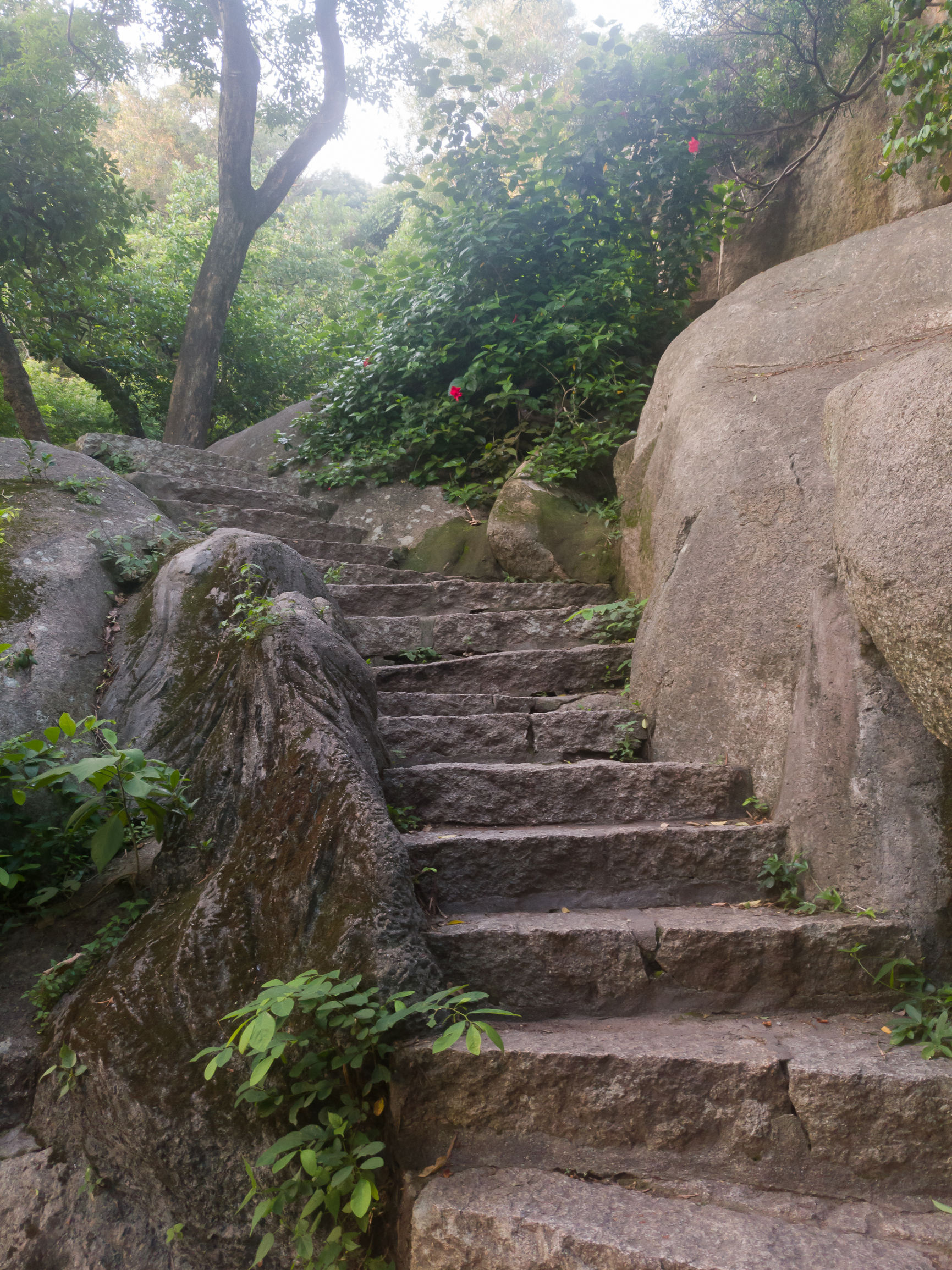 手机旅拍:厦门大学南门外的南普陀寺