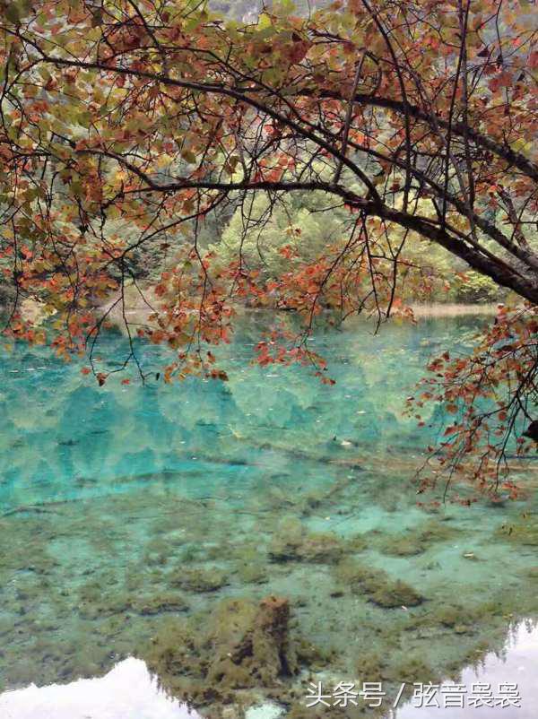 什么季节最适合去九寨沟,什么季节适合九寨沟旅游