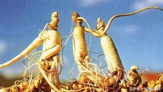 到吉林玩买啥、吃啥?再也不用刘烨代购吉林土特产了!