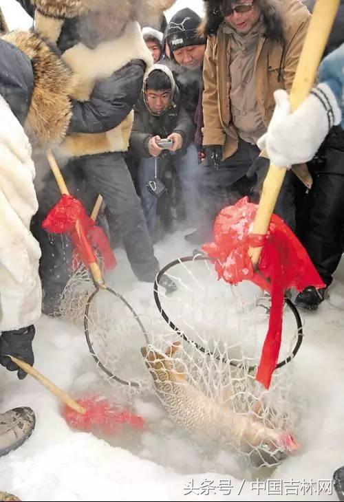 到吉林玩买啥、吃啥?再也不用刘烨代购吉林土特产了!