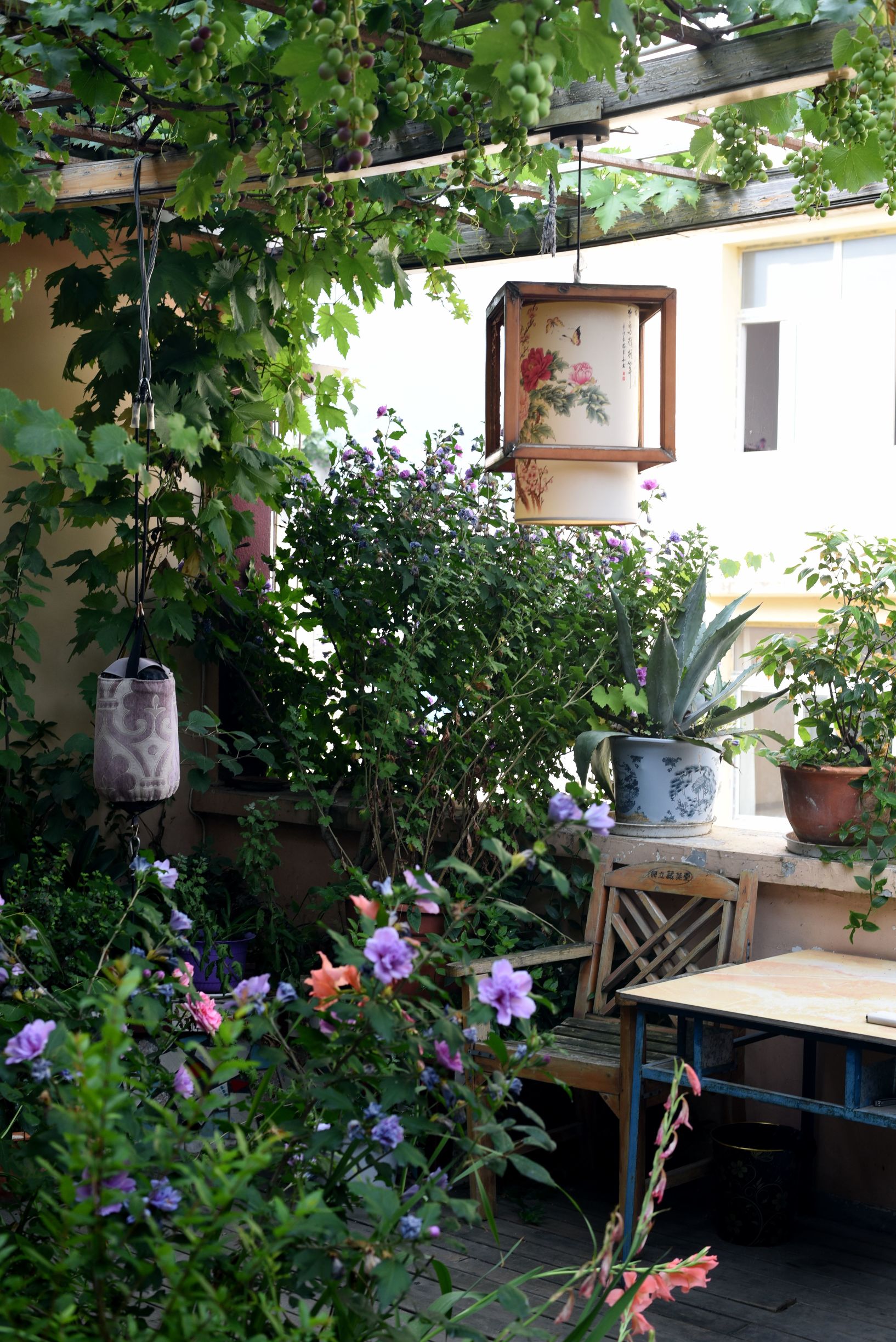 四川阿坝茂县美景,四川茂县简介