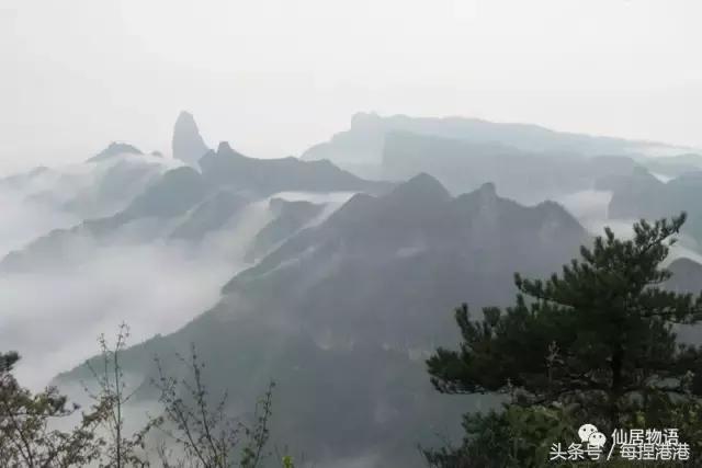 台州的公盂村,浙江省仙居县田市镇公盂村