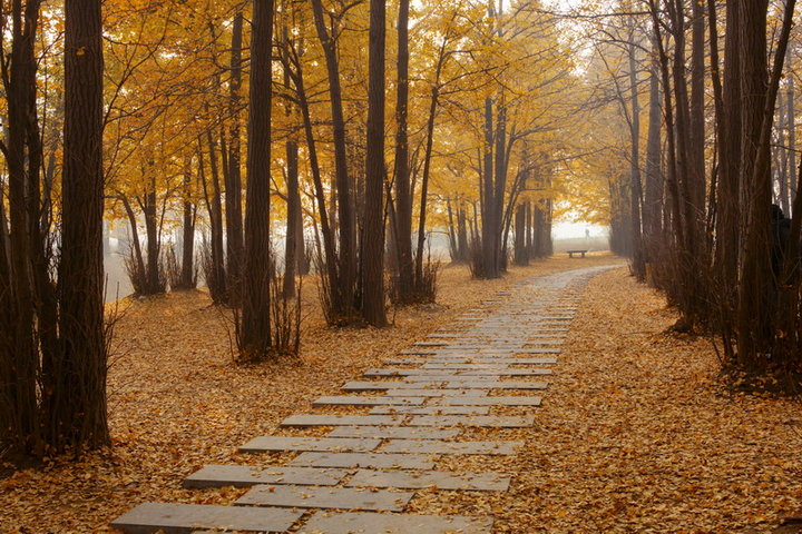 用许嵩的歌写情书,用许嵩歌名唱出的歌叫什么