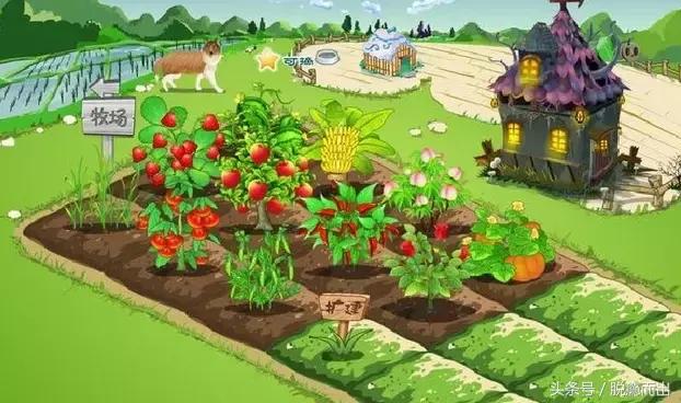 设定闹钟半夜三更起来偷菜,还记得开闹钟一起偷菜的故事吗