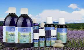 绮炬补鍜岀函闇茬殑钂搁杩囩▼,鐜懓鑺辫捀棣忕函闇插拰绮炬补