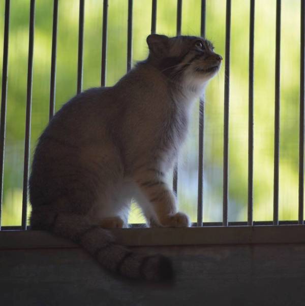 学校发生过最扯淡的事,大学期间有哪些惊为天人的事