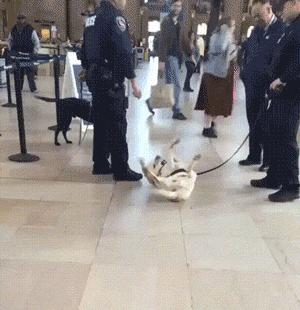 开会领导突然发火怼你,开会的时候员工发脾气