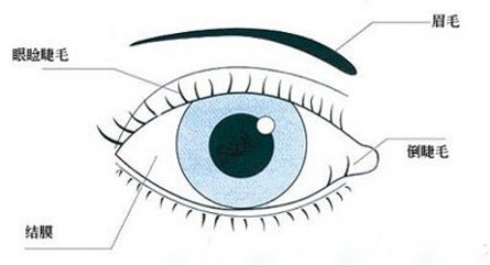 宝宝眼屎多能用纸巾擦吗,宝宝眼屎多吃清火宝可以吗